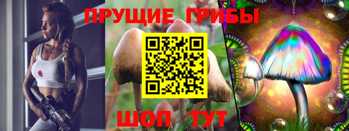 Псилоцибиновые грибы ЛСД  Вход с VPN  Псилоцибиновые грибы Cubensis  Дербент 